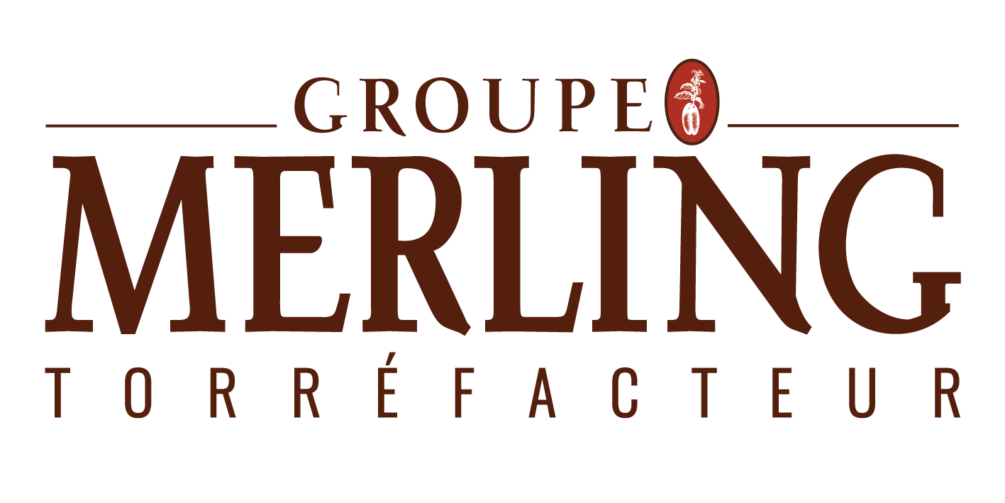logo Groupe Merling